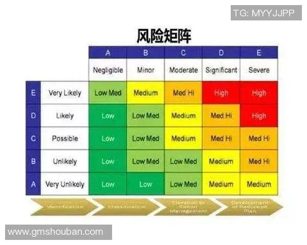 重庆极限运动队战术解析与训练策略探讨